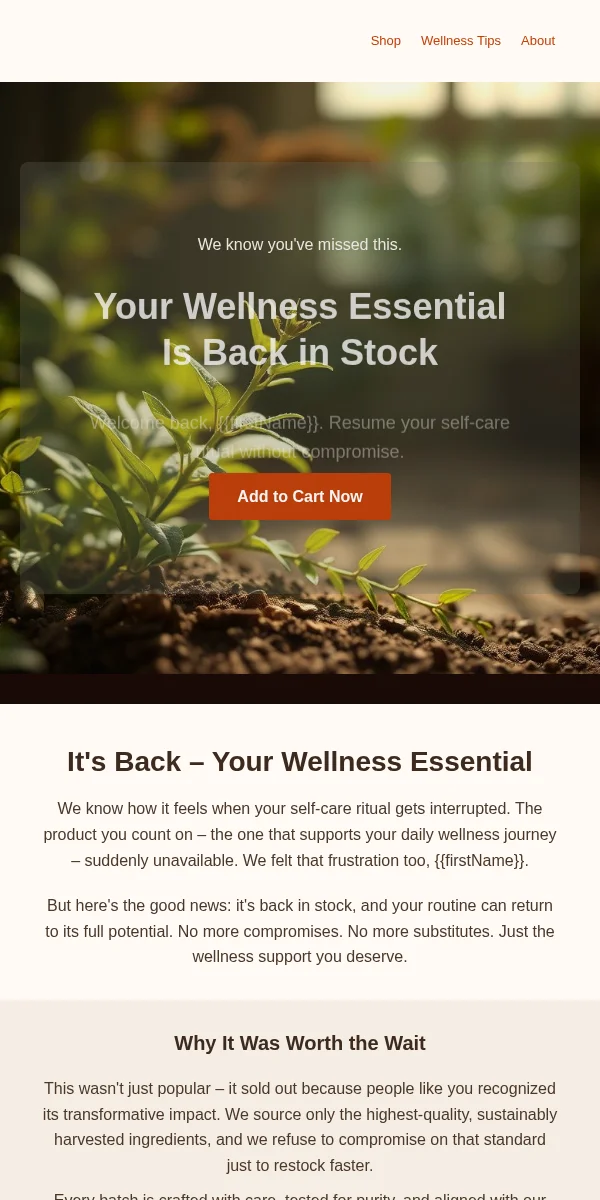 Back In Stock Email Template for Health Wellness