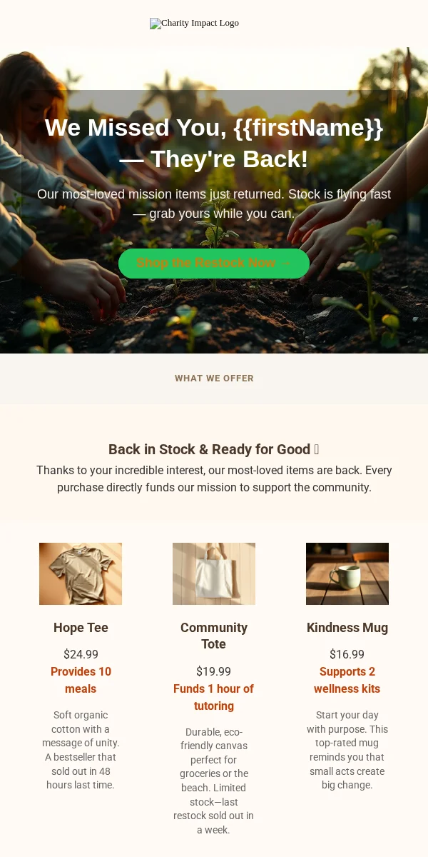back in stock email template for nonprofits