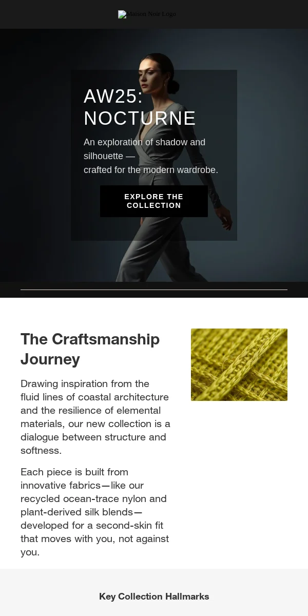 Company Announcement Email Template for Apparel Fashion