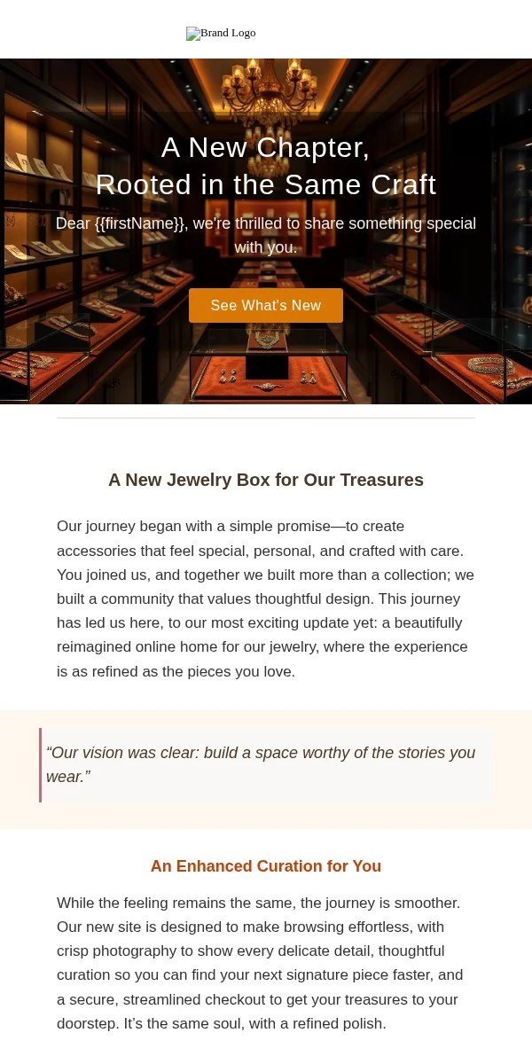 Company Update Email Template for Jewelry Accessories