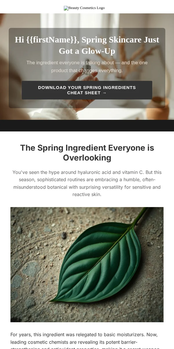 Content Digest Email Template for Beauty Cosmetics