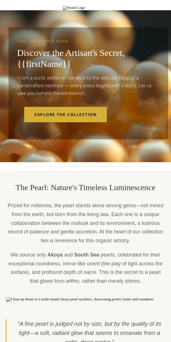 educational content email template for jewelry brands