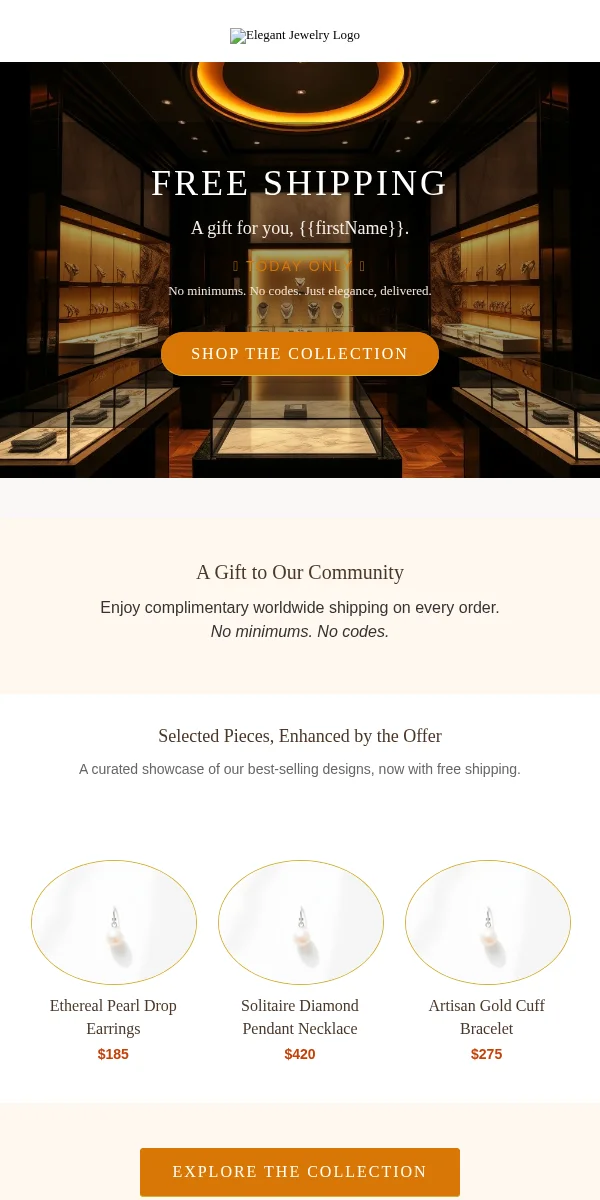 Free Shipping Offer Email Template for Jewelry Accessories