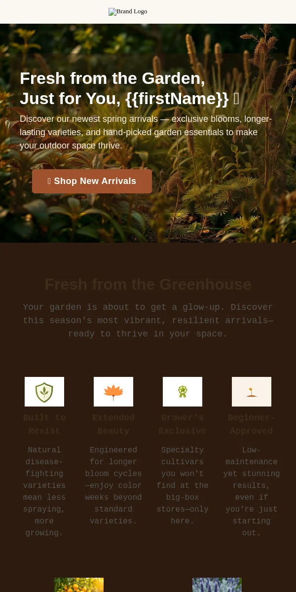 new arrival email template for home & garden