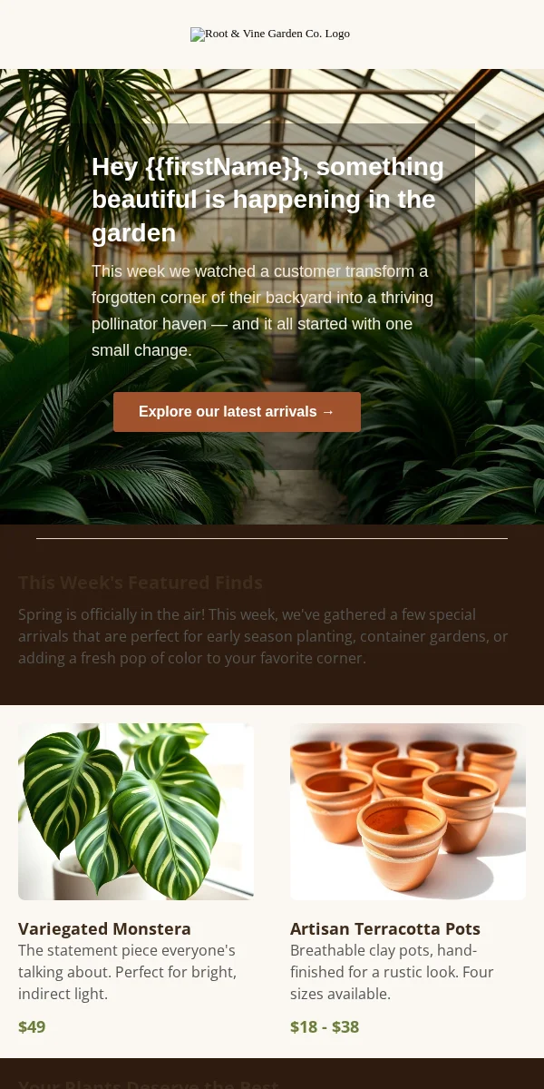 Newsletter Email Template for Home Garden