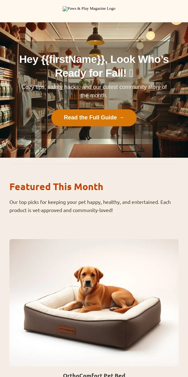 Newsletter Email Template for Pets Animals
