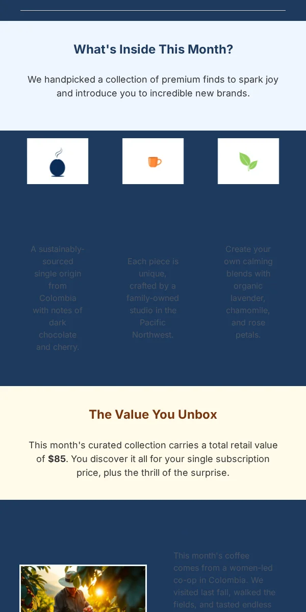 Newsletter Email Template for Subscription Boxes