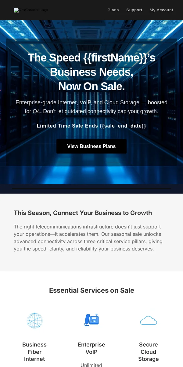 Seasonal Sale Email Template for Telecommunications