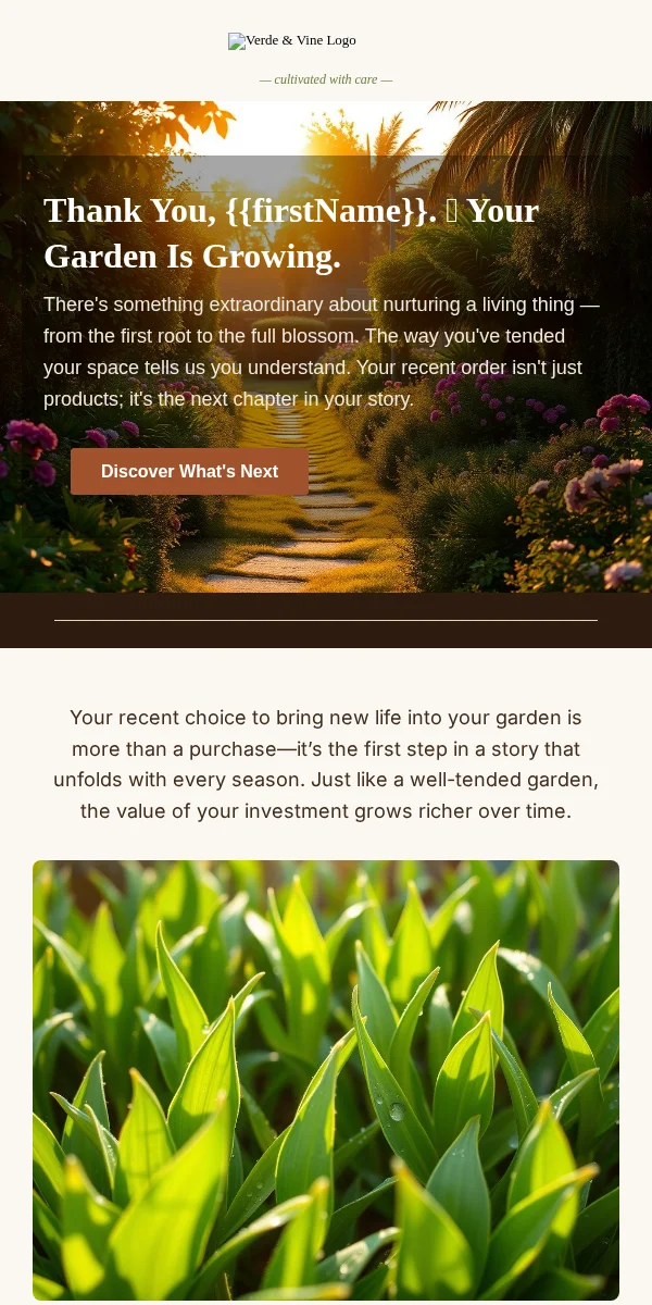 Thank You Email Template for Home Garden