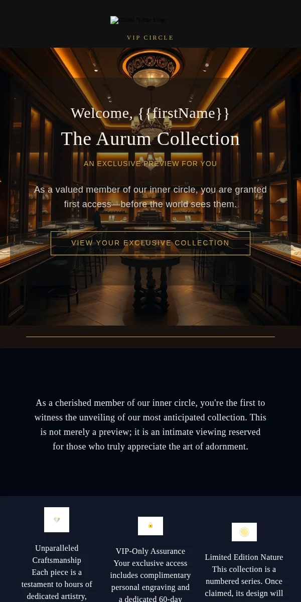 Vip Exclusive Email Template for Jewelry Accessories